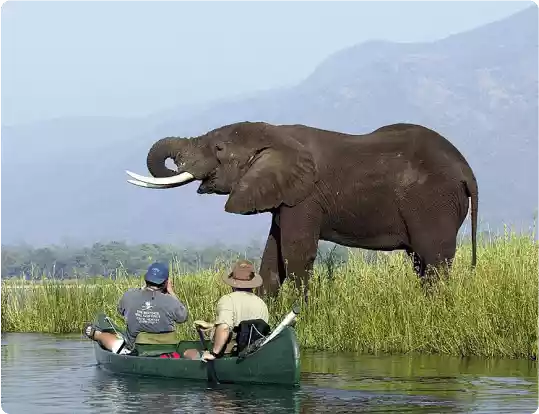 About MacedoniaTenders